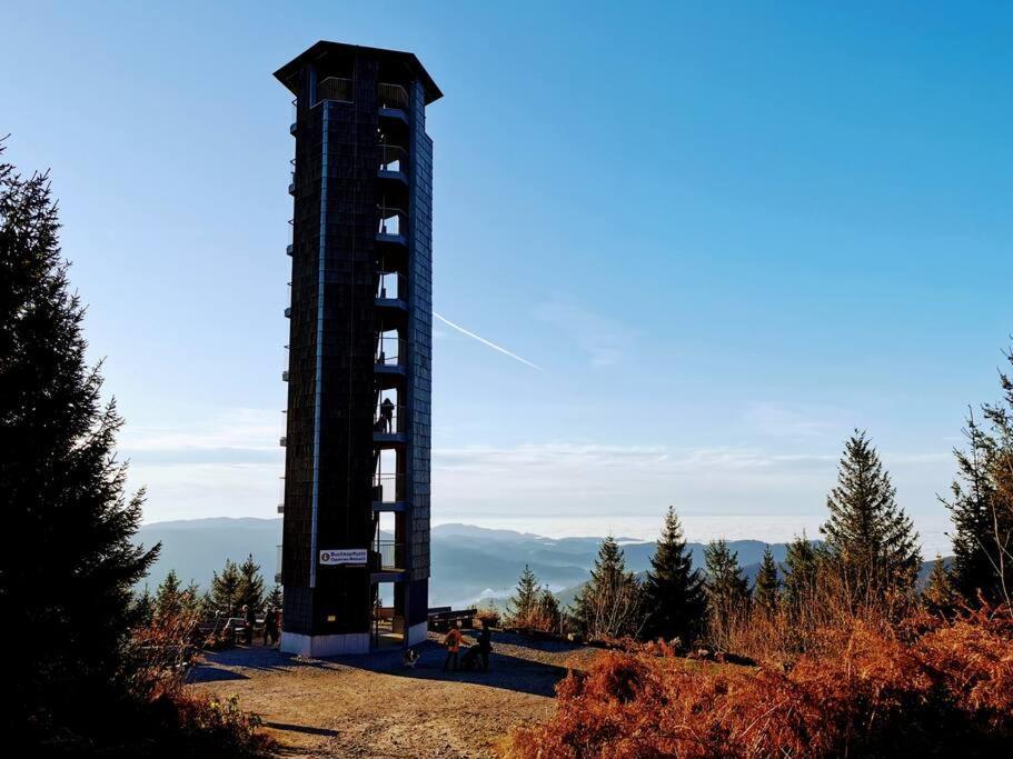 Traumhafte Maisonette-Wohnung Im Schwarzwald Фройденштадт Экстерьер фото